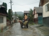 dsc01235